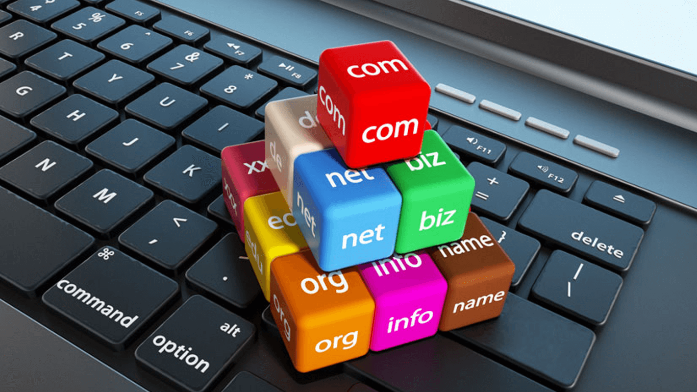 Hosting and Domain Name Registration